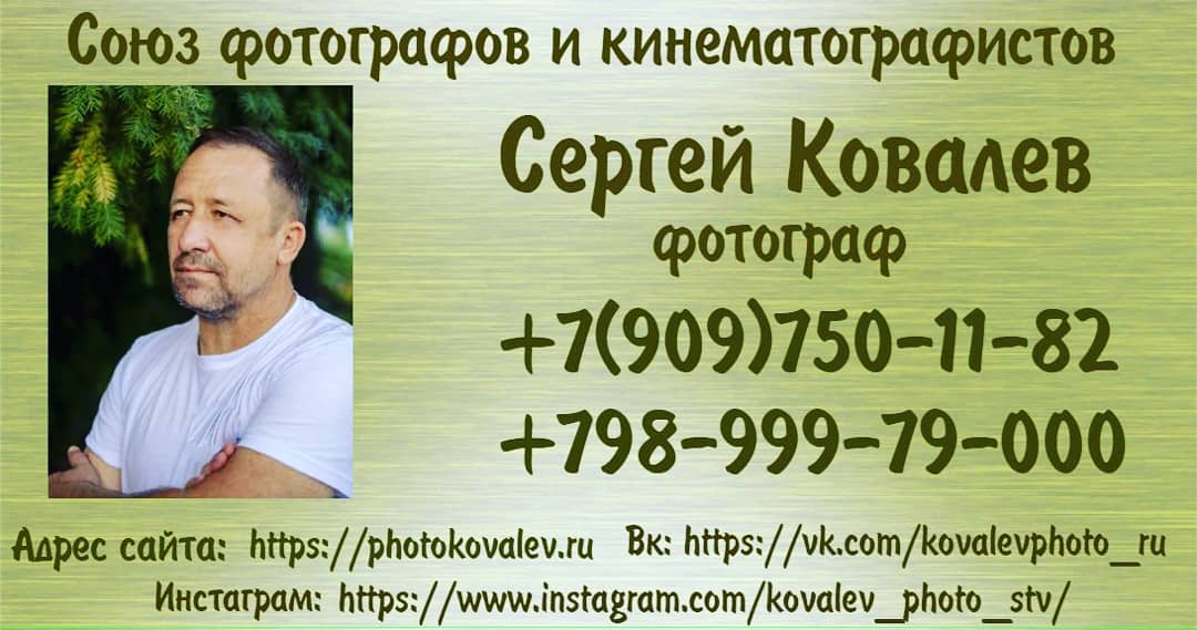 Сергей Ковалев Фотограф